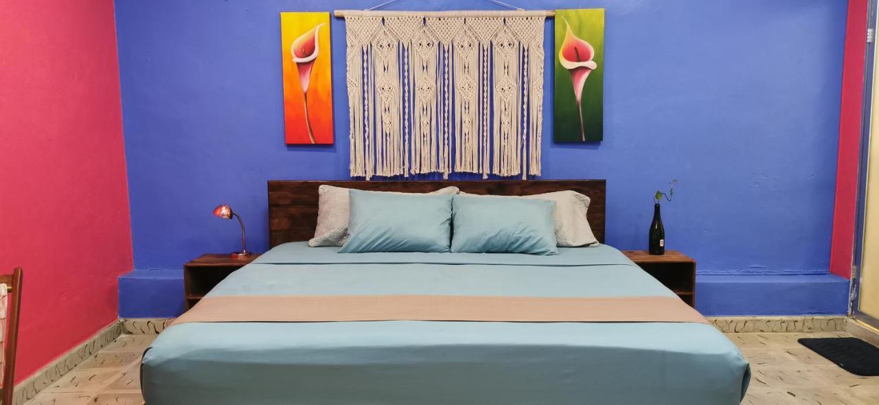 דירות ואיאדוליד Centrico Y Encantador Apartamento Angielin מראה חיצוני תמונה